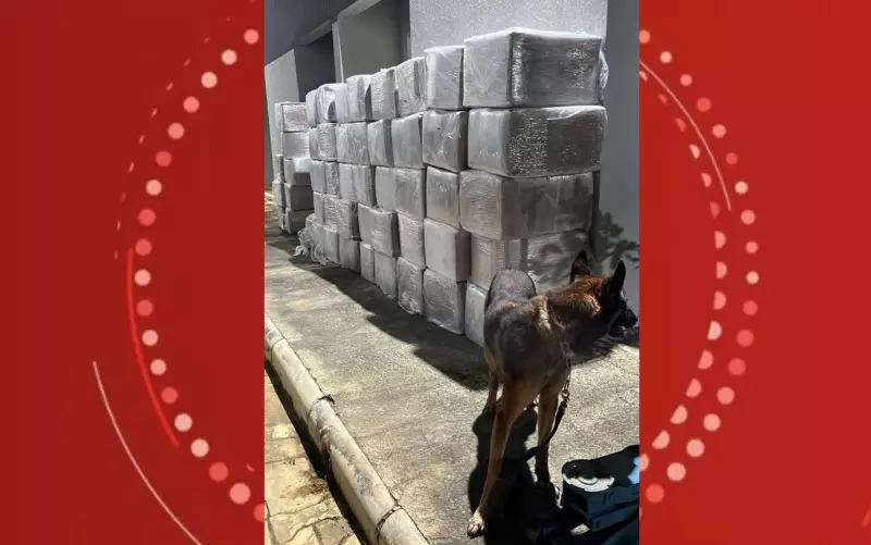 Homem é preso com grande quantidade de drogas na Bahia: veja detalhes da operação