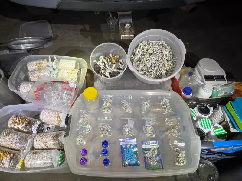 Homem é preso com laboratório de cogumelos alucinógenos em MS — Veja o vídeo!