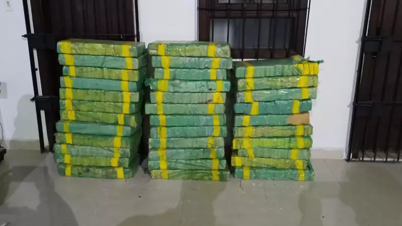 Homem é preso com mais de 400 kg de maconha na Via Dutra: veja detalhes da operação