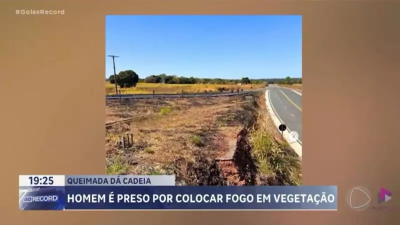 Homem é preso em Goiás por crime ambiental após incendiar vegetação nativa