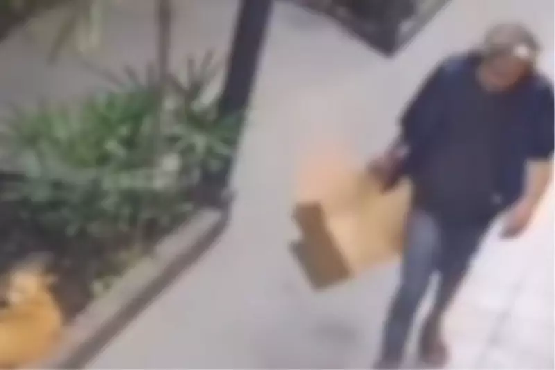 Homem é preso em Joinville por suspeita de violência contra cachorra: caso choca moradores
