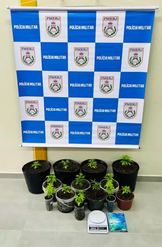 Homem é preso por cultivar maconha em Paraty: veja detalhes da operação policial