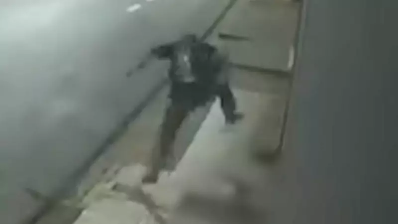 Homem é preso por matar filhote de cachorro a chutes em MG — Crime choca moradores