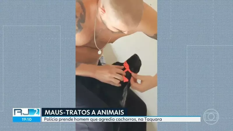 Homem é preso por maus-tratos a 7 cachorros na Taquara: veja o vídeo chocante