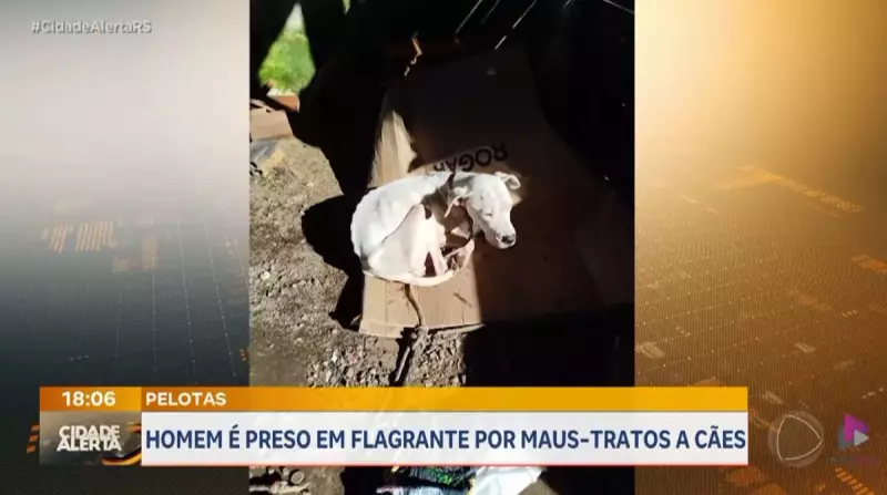 Homem é preso por maus-tratos a cães em Pelotas: saiba detalhes do caso