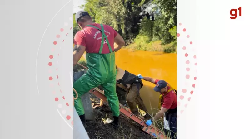 Homem é resgatado após ser jogado em rio em Criciúma — veja detalhes
