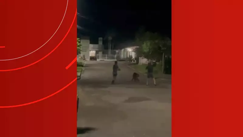 Homem morre após atacar policiais com faca durante festa religiosa no Amazonas