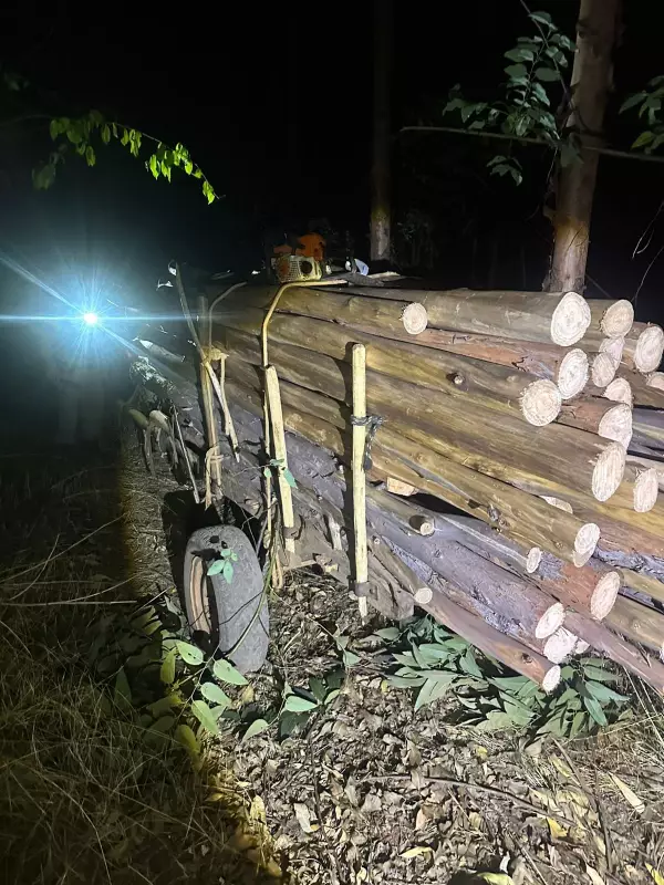 Homens são presos por furto de madeira e maus-tratos a animais em Bocaiuva: veja detalhes