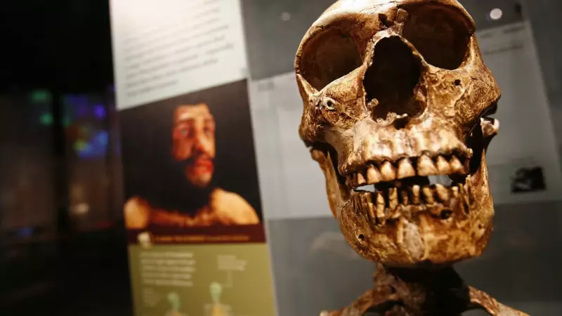 Homo sapiens já tinha habilidades de colonizador antes de se tornar uma espécie global, revela estudo