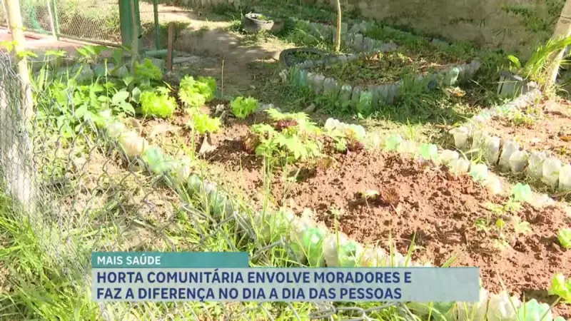 Horta comunitária transforma vidas no Bairro Confisco, em Belo Horizonte