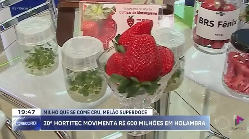 Hortitec 2025: Feira movimenta R$ 600 milhões e atrai milhares em Holambra, SP