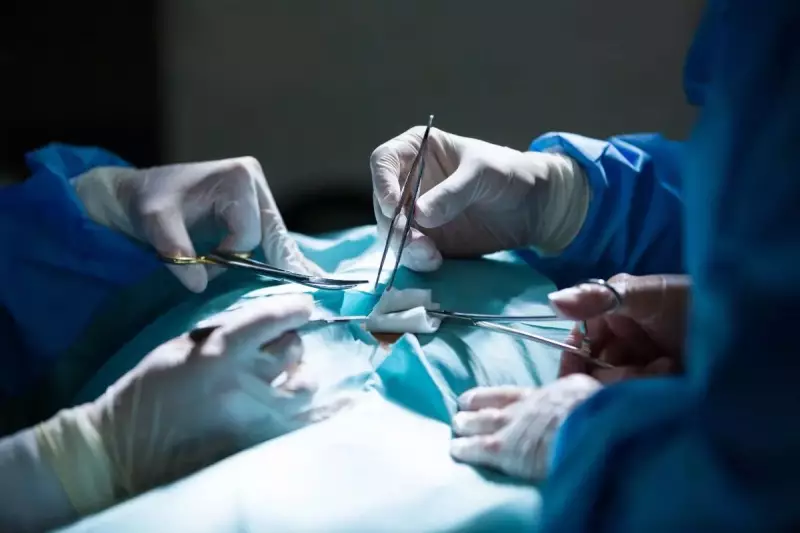 Hospital em Chapecó registra alta taxa de aceitação familiar para doação de órgãos