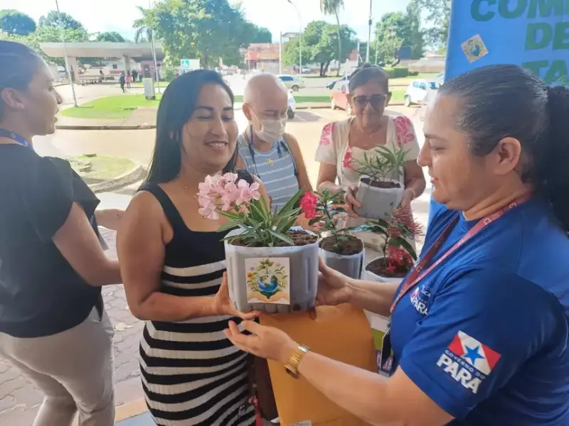Hospital Regional de Santarém transforma vidas com doação de mudas de plantas para pacientes e acompanhantes