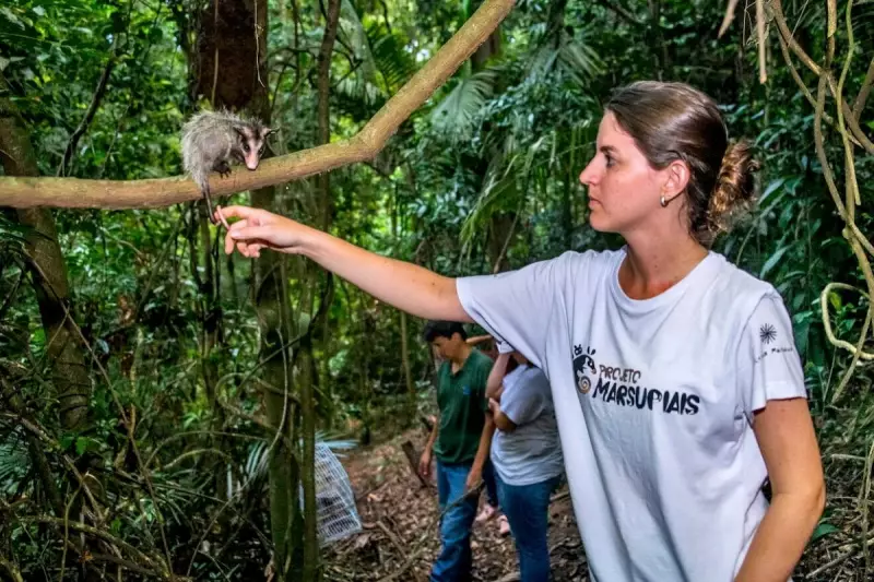 Iasmin Macedo: A voz da natureza na luta pelos marsupiais brasileiros