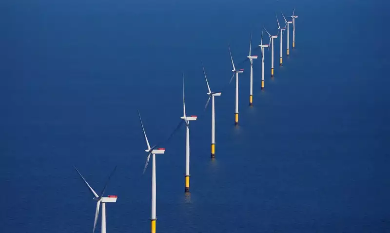 Ibama concede primeira licença prévia para projeto eólico offshore no Brasil