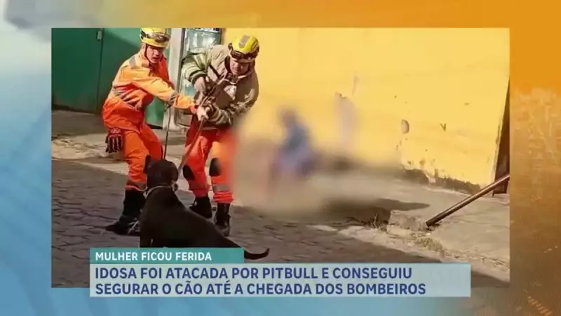 Idosa heroína imobiliza pitbull em ataque assustador no interior de MG