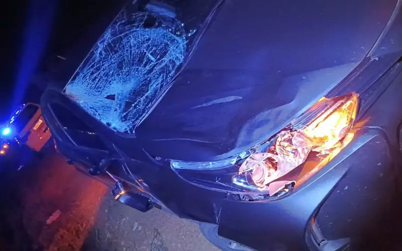 Idoso de 74 anos morre atropelado na MG-335 em Ijaci: detalhes do trágico acidente