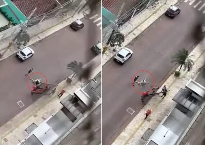 Idoso é atingido por portão durante ventania de 65 km/h no litoral de SP; veja o vídeo