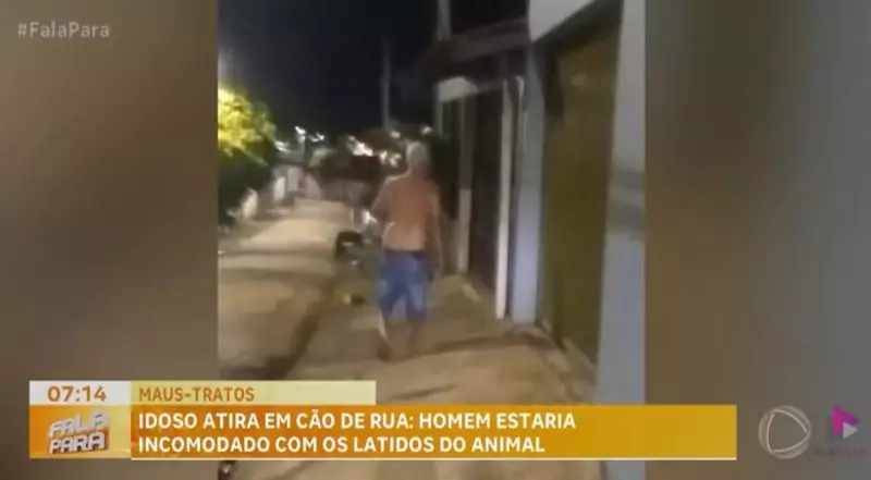 Idoso é indiciado por maus-tratos e porte ilegal de arma após atirar em cachorro de rua