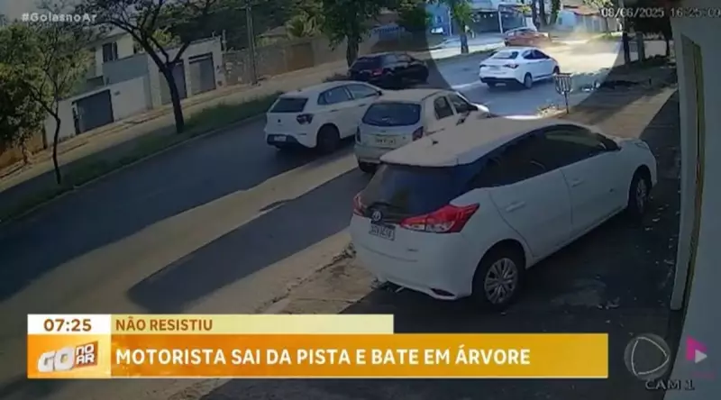 Idoso morre em acidente trágico após colidir contra árvore no Parque das Flores, em Goiás