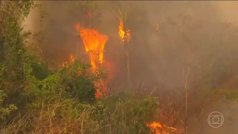 Imagens de satélite revelam: área queimada na Amazônia e na Mata Atlântica em 2024 foi a maior em 40 anos
