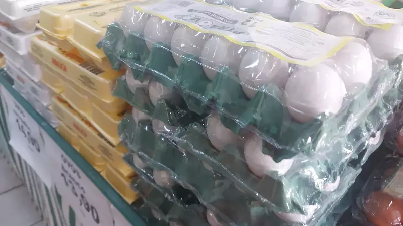 Importação de ovos e produtos avícolas não recupera patamar e preços caem no Brasil, aponta estudo da USP