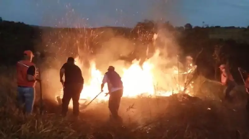 Incêndio às margens de estrada em Avaré mobiliza Defesa Civil e preocupa moradores
