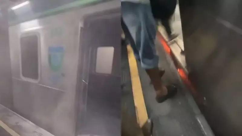 Incêndio assusta passageiros e atinge linha férrea do Metrô do Recife; veja vídeo
