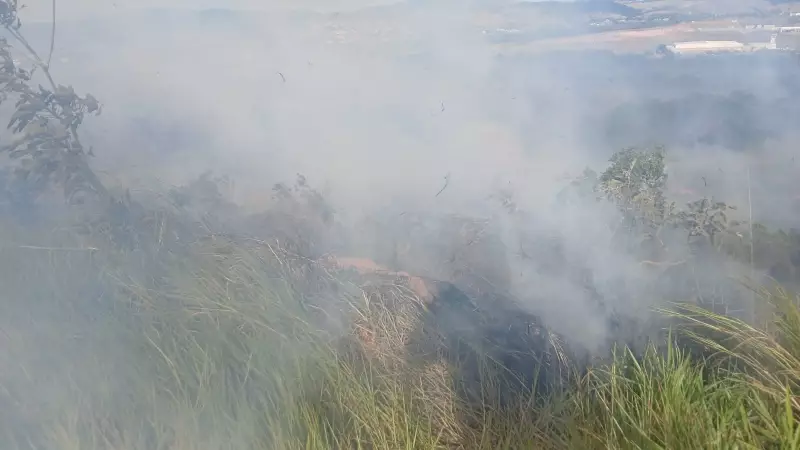 Incêndio de grandes proporções devasta 50 mil m² do Parque Itaim em Taubaté