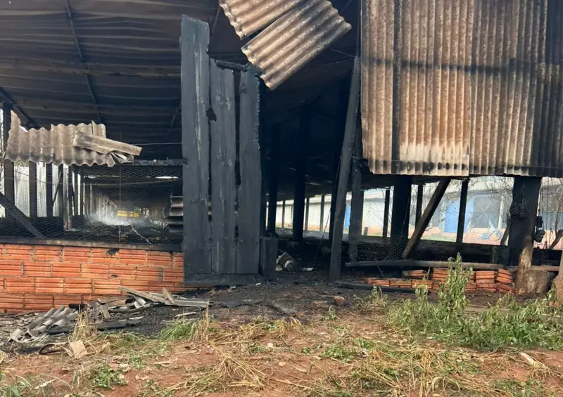 Incêndio em granja no interior de SP mata mais de 17 mil pintinhos: tragédia no agronegócio