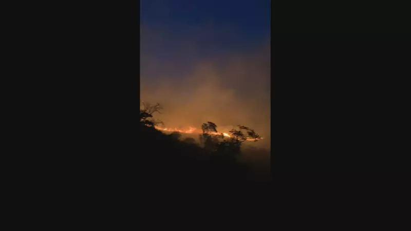 Incêndio na Serra do Vulcão: Bombeiros lutam contra as chamas no RJ