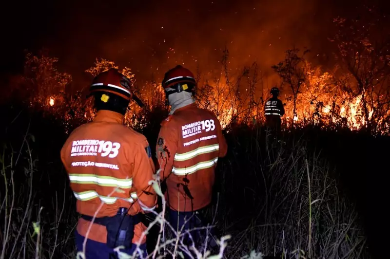 Incêndio no Pantanal: MP investiga destruição de 6 mil hectares