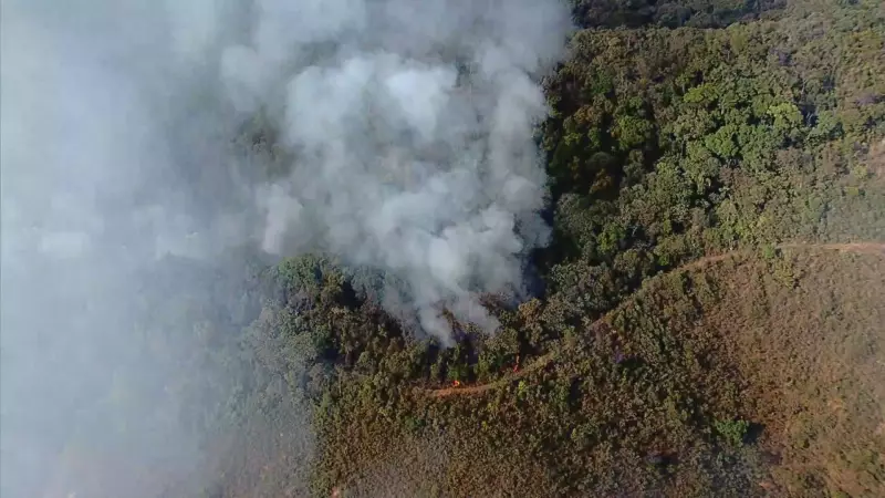 Incêndios em MG: 17% do território do estado foi consumido pelo fogo em 40 anos