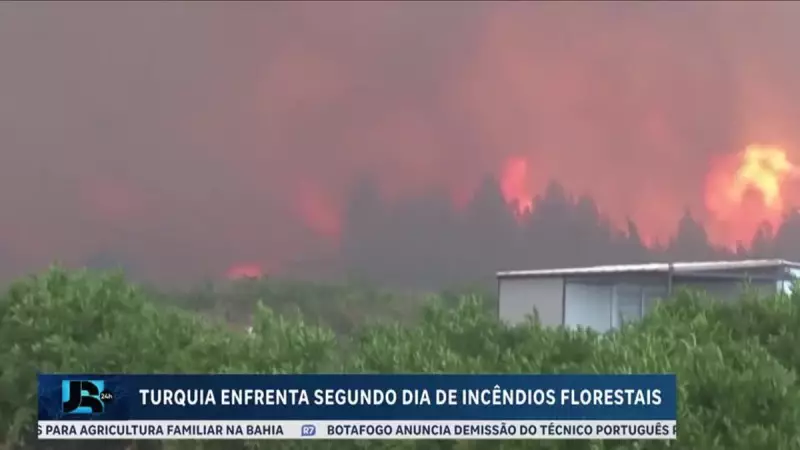 Incêndios florestais na Turquia: segundo dia de caos e destruição