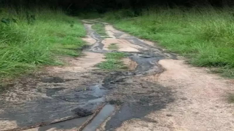 Indígenas denunciam descarte ilegal de resíduos em área protegida no Maranhão