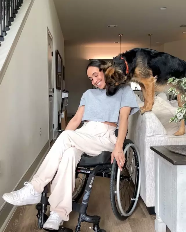 Influenciadora fica paraplégica após picada de carrapato: entenda a babesiose e seus riscos