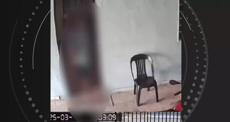 Inquilino assassina proprietário em SP e é preso no interior de Alagoas: veja detalhes do crime