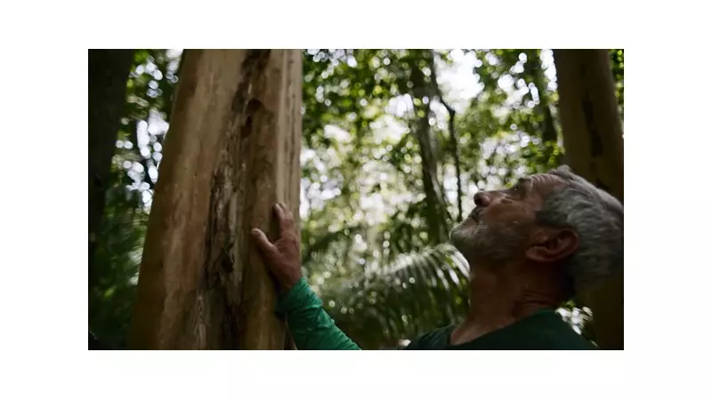 Inspiração e Preservação: A Rêgua que Encanta no Coração da Mata Atlântica