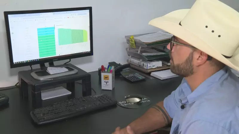 Inteligência Artificial no Campo: Como Produtores Rurais Estão Usando Tecnologia para Aumentar a Produtividade