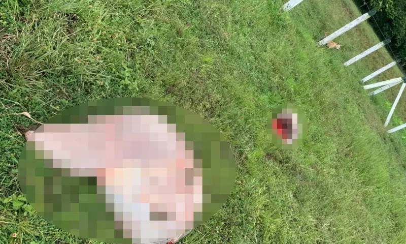 Invasão de fazenda na Bahia: conflito agrário deixa feridos e gera tensão