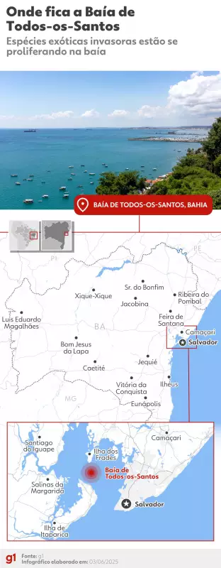 Invasão silenciosa: mais de 30 espécies exóticas ameaçam o equilíbrio da Baía de Todos os Santos
