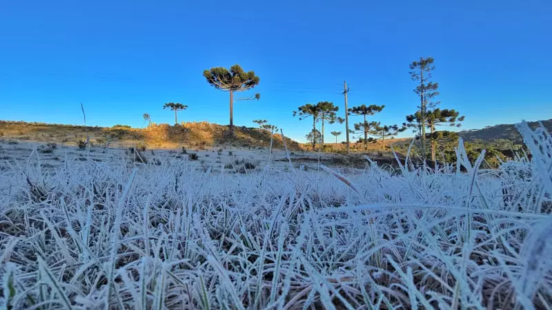 Inverno 2025: O que esperar da estação mais fria do ano no Brasil?