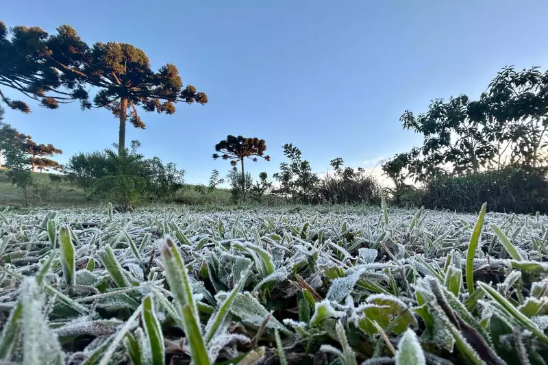 Inverno começa nesta sexta: saiba como será a estação com temperaturas e chuvas dentro da média
