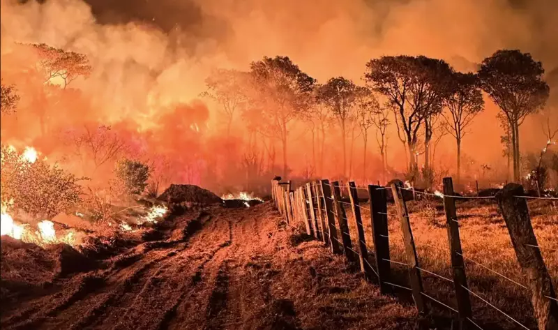 Investir em adaptação climática é lucrativo, revela estudo
