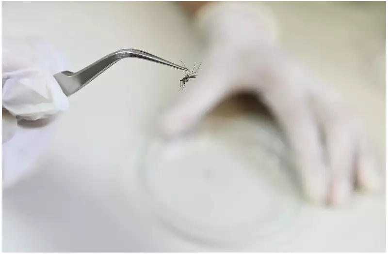 Itapira registra primeira morte por dengue em 2025; região já soma 134 óbitos
