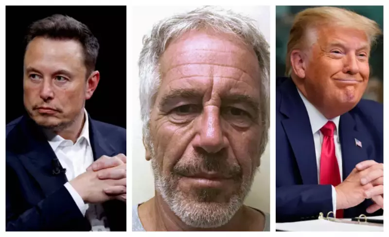 Jeffrey Epstein: Quem foi, crimes cometidos e o vínculo com a briga entre Trump e Musk