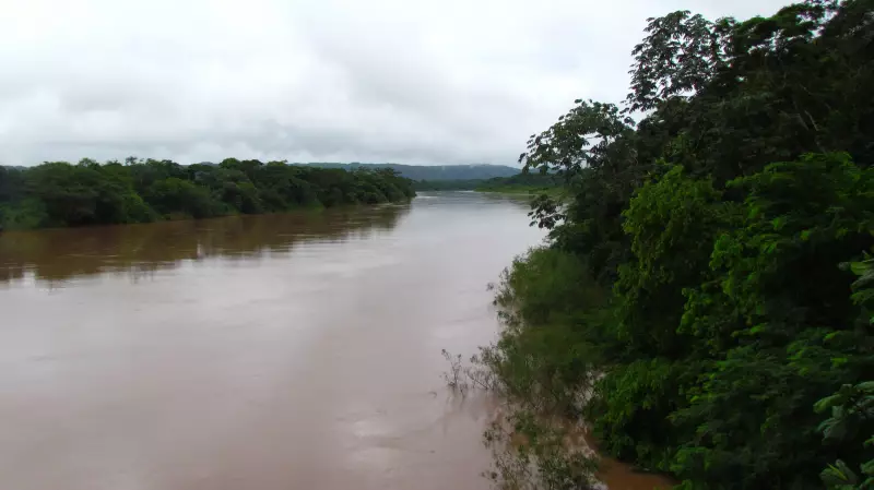 Jornalistas navegam pelo Pantanal para revelar ação heroica de voluntários em MT