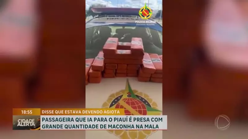 Jovem de 18 anos é presa com drogas na Rodoviária de Sobradinho, DF — Veja detalhes