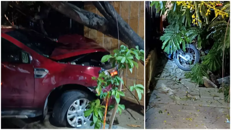 Jovem de 18 anos morre atropelado no Ceará; motorista é preso com cocaína e cerveja
