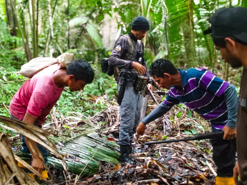 Jovem desaparece em área de mata em Maués após sair para colher frutas: buscas em andamento